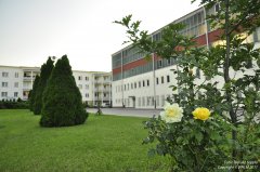 _dsc9369.jpg