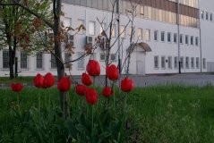 DSC08833.JPG