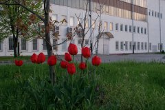 DSC08834.JPG